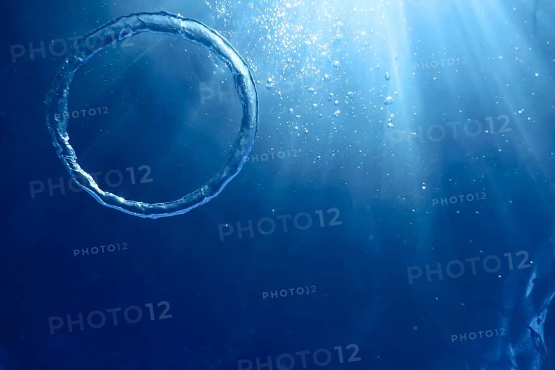 Underwater Bubble Ring Ascends towards the Sun