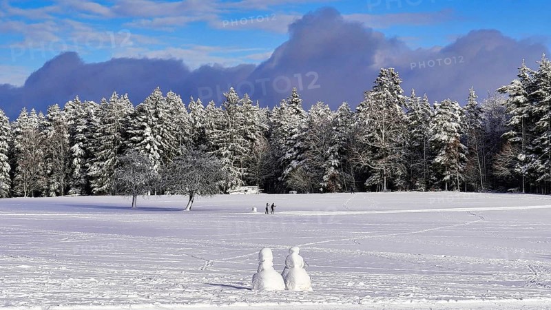 Two cross-country skiers on tour in a snow-covered landscape
