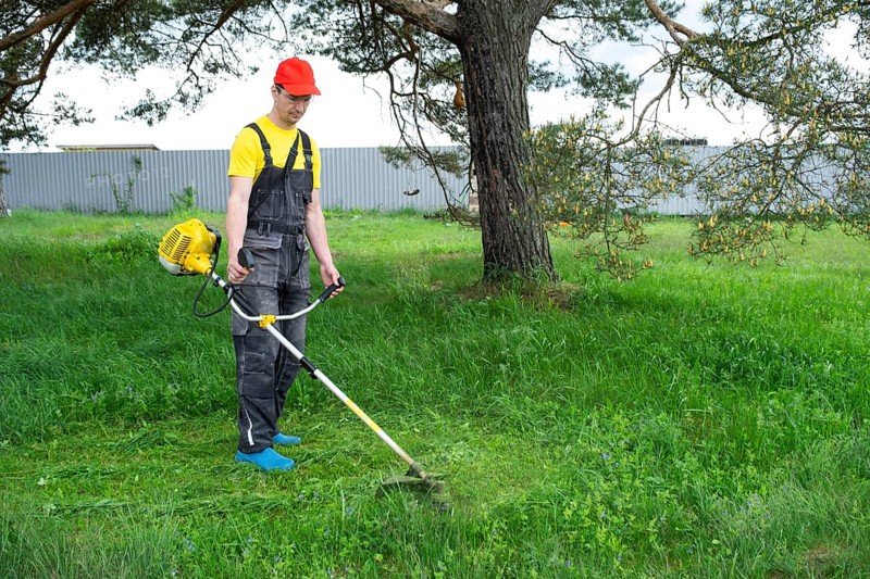 A male gardener mows the green grass of the lawn in the backyard with a gasoline mower. Trimmer for the care of a garden plot