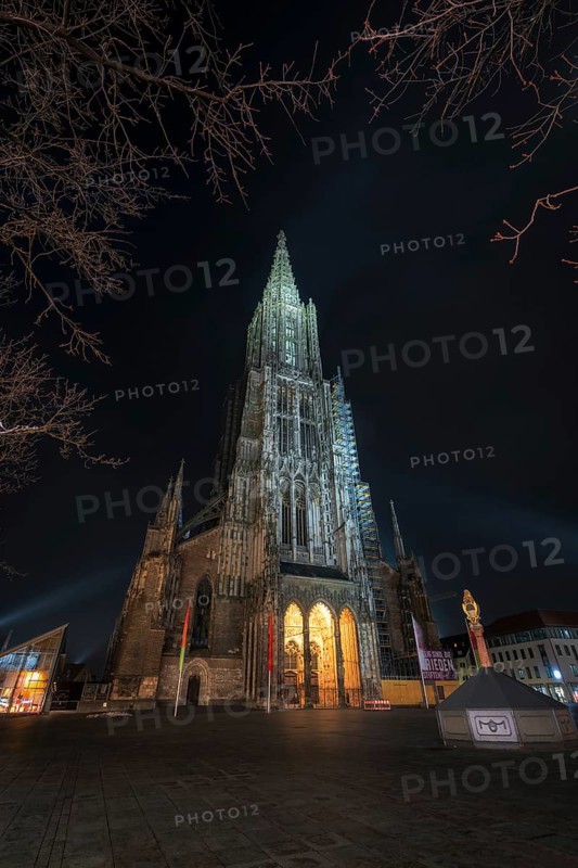 Minster in Ulm at night