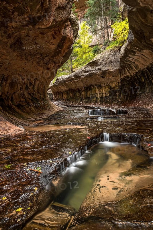 Magnificent Subway gorge landmark in the Zion National Park in Utah, USA, North America