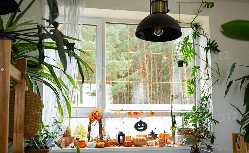 Festive decor of the house on the windowsill for Halloween in interior with homemade potted plants- pumpkins, Jack o lanterns, skulls, skeletons, candles and garland, cozy and terrible mood