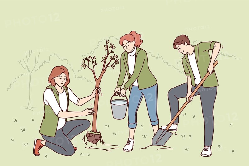 Volunteers plant trees in park and water seedlings to save nature from co2 emissions and climate change. People with paw and bucket for planting trees helping ecology recover after deforestation