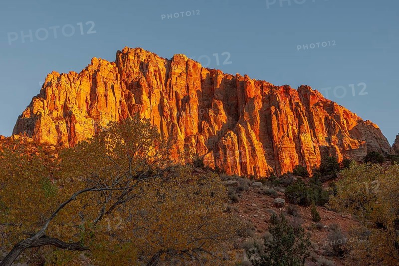 Glowing Rockface at Sunset in Zion National Park