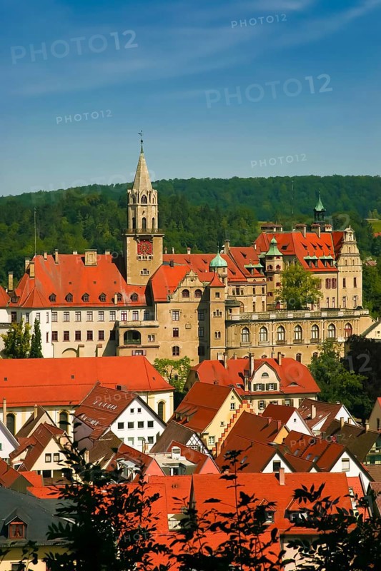 Hohenzollern Castle Sigmaringen, former princely residence and administrative centre of the Princes of Hohenzollern-Sigmaringen, city castle, architecture, historical building, south view, view, city view, roofs, houses, Sigmaringen, Upper Swabia, Baden-Württemberg, Germany, Europe
