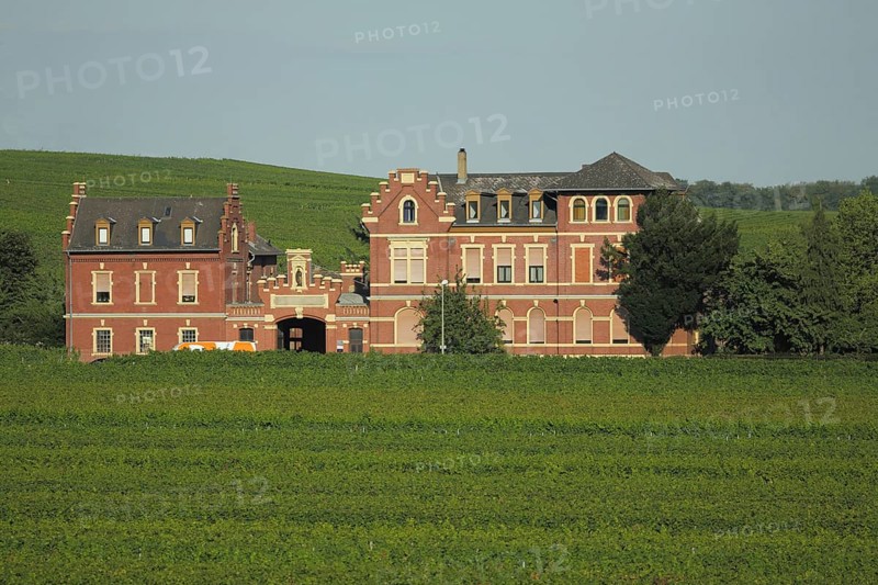 Former champagne cellar in the vines, villa, wine-growing area, vineyards, Hochheim am Main, Taunus, Hesse, Germany, Europe