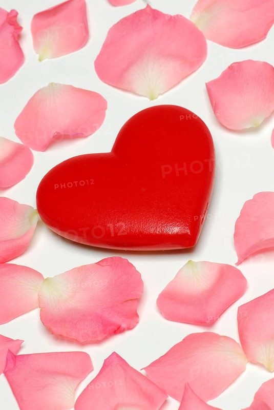 Rose petals and heart, rose petals