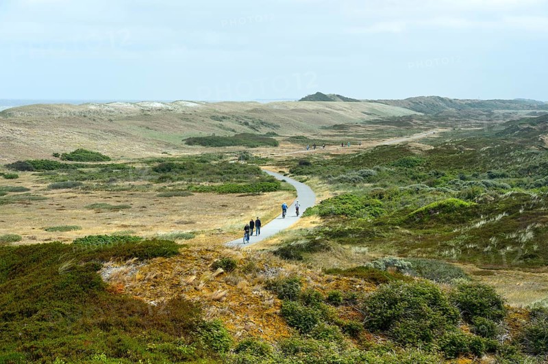 Pirolatal dune area cycling and hiking trail, North Sea island of Langeoog, East Frisian Islands, Lower Saxony, Germany, Europe