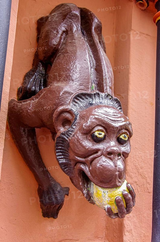 Sculpture of a monkey biting into a sour apple, so-called monkey fountain, historic old town Freiburg im Breisgau, Baden-Württemberg, Germany, Europe