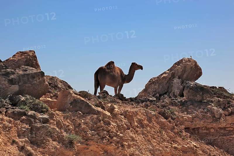 Landscape of the Southern Dhofar, Jabal al-Qamar, Oman, Asia