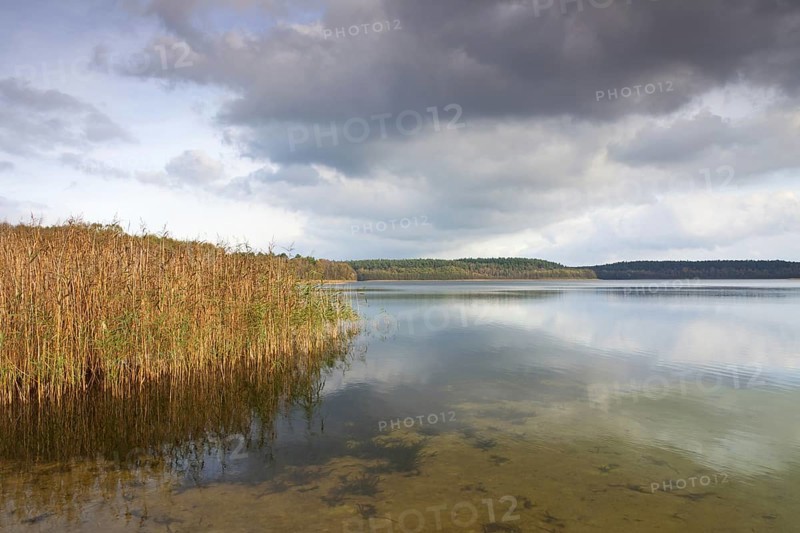 Großer Fürstenseer See, Lake Grosser Fuerstensee, lake in the Mecklenburgische Seenplatte district, Müritz NP, Mecklenburg-Vorpommern, Germany, Europe