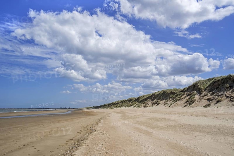 Sand dunes and sandy beach at low tide, ebb in nature reserve Platier d'Oye at Oye-Plage, Pas-de-Calais, Hauts-de-France, France, Europe