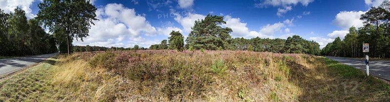 270 degree panorama of a heath landscape with federal road near Schneverdingen, Heidekreis, Lower Saxony, Germany, Europe