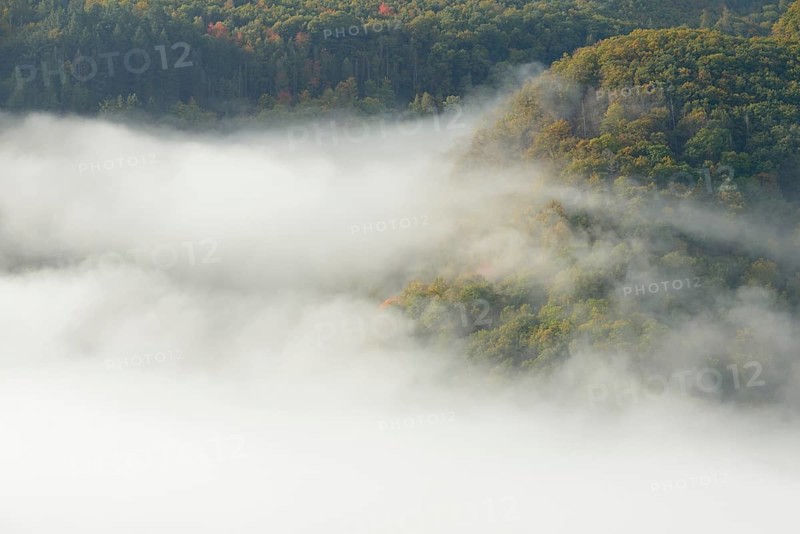 View over the Moselle valley, autumnal forest with dense fog, Moselle, Rhineland-Palatinate, Germany, Europe
