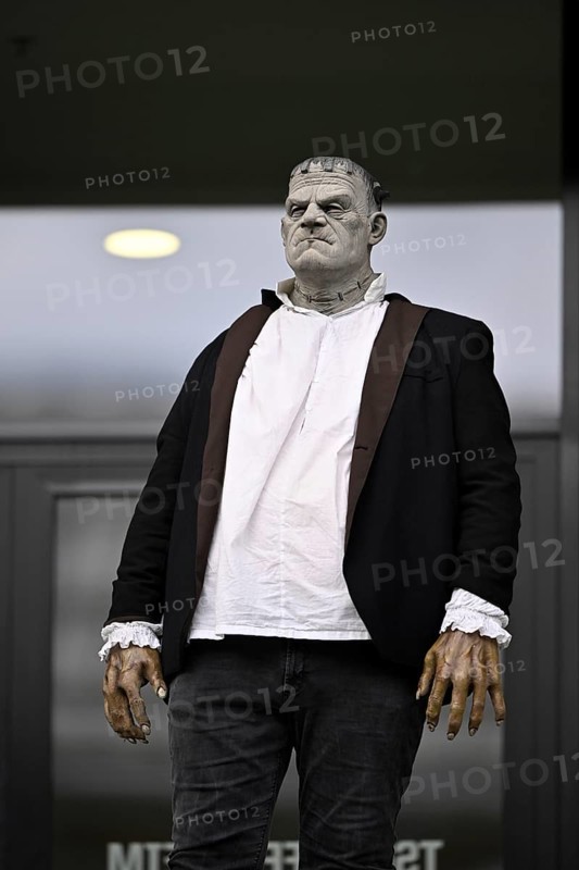 Frankenstein's Monster, disguise, dressed up, creepy, horror, halloween, costume, costumes, grandstand, PreZero Arena, Sinsheim, Baden-Württemberg, Germany, Europe