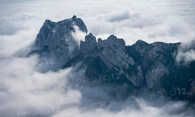 View of mountain peaks above the sea of clouds, Alpstein, high fog, Appenzell Ausserrhoden, Appenzell Alps, Switzerland, Europe