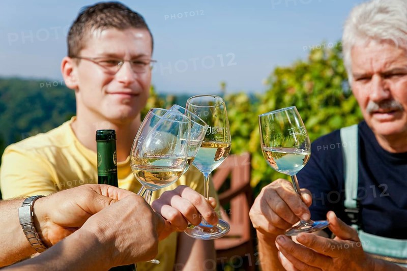 Not far from the Boselspitze, leaning towards the Elbe, is the vineyard known as the Rote Presse . The ochre-coloured vineyard cottage with its pointed roof, also known as the Swallow's Nest, is visible from afar