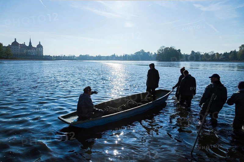 Fishing of the castle pond in Moritzburg