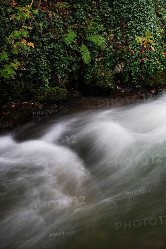Mountain stream, Zellerache flows over moss-covered stones through the Helenental, Mondsee, Mondseeland, Salzkammergut, Upper Austria, Austria, Europe
