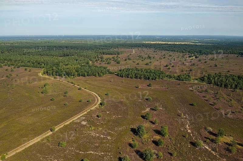 Aerial view of the Osterheide during the heath blossom in the Lüneburg Heath. Schneverdingen, Lower Saxony, Germany, Europe