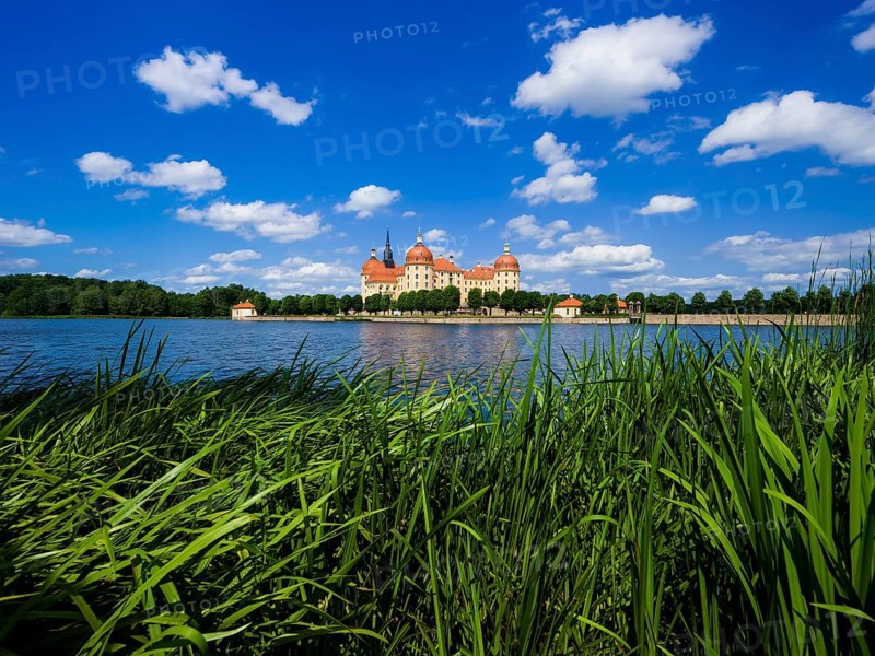Moritzburg Baroque Palace