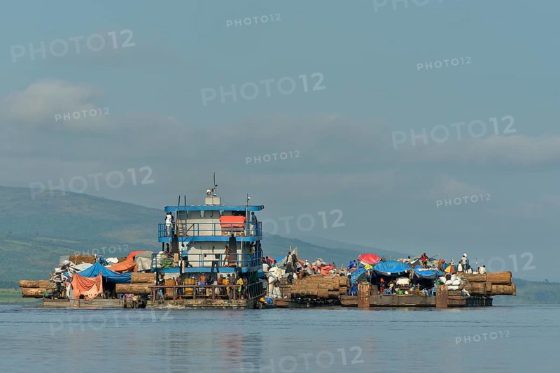 Freighter transporting logs of tropical timber on the Congo River, near Kinshasa, Kinshasa District, Democratic Republic of the Congo