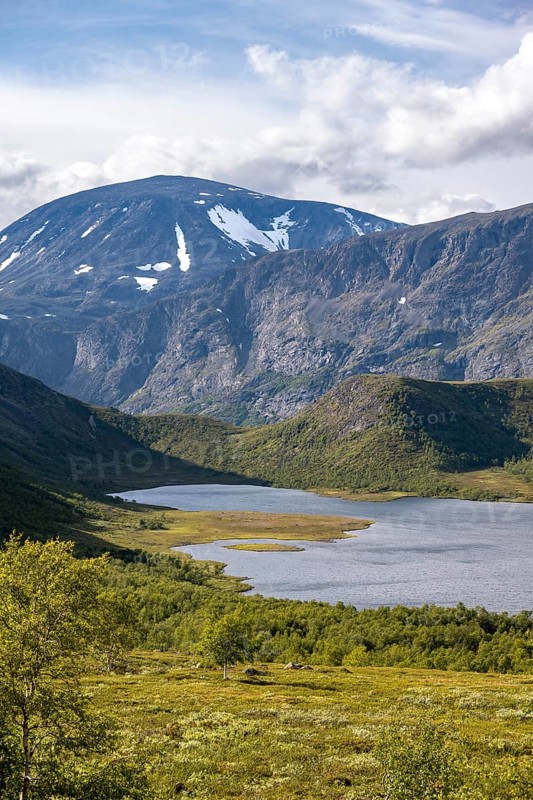 Barren mountain landscape with lake and birch trees, lake Leirungen nedre, Fjell, Øystre Slidre, Jotunheimen National Park, Norway, Europe