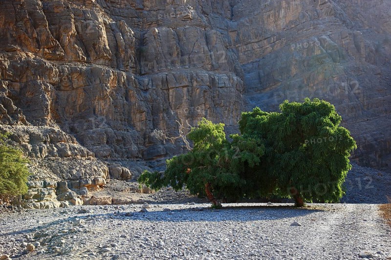Landscape in the Jebel Harim area, in the Omani enclave of Musandam, Oman, Asia