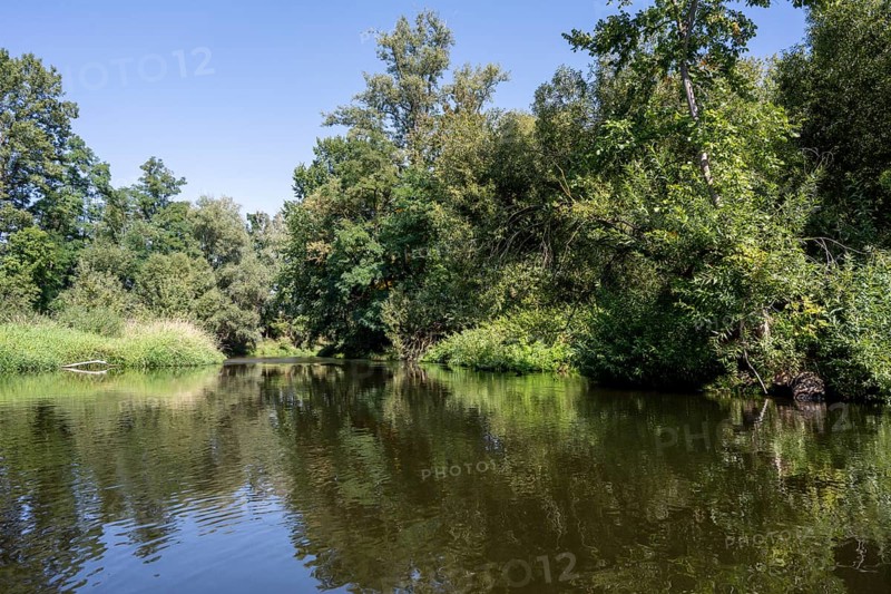 River landscape of the Thaya in late summer, Czech Republic, Europe