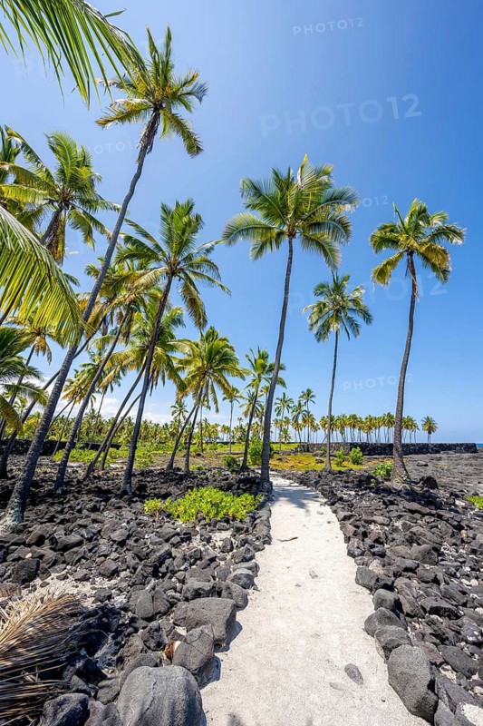 Pu'uhonua O Honaunau National Historical Park, Big Island, Hawaii, USA, North America