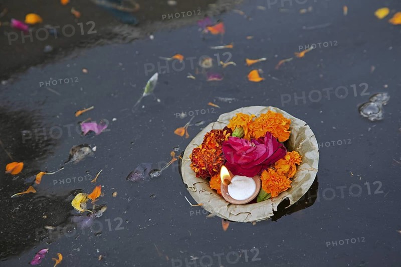 Offerings like flowers and candle floating on the sacred Yamuna river in Mathura, Uttar Pradesh, India, Asia