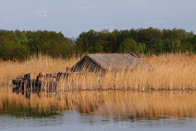 Self-built raft in the reeds, alternative lifestyle, hippie, Müritz National Park, Mecklenburg-Western Pomerania, Germany, Europe