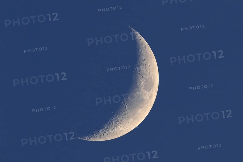 Crescent moon, waning moon, Flusslandschaft Peenetal nature park Park, Mecklenburg-Western Pomerania, Germany, Europe
