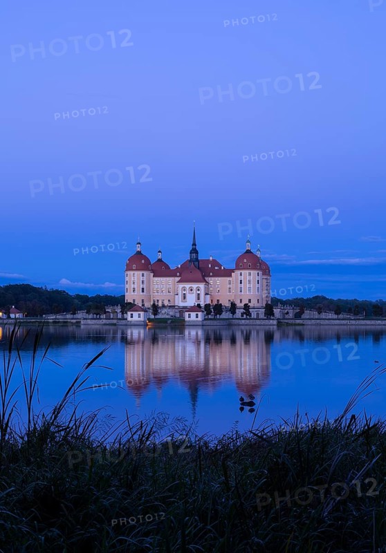Moritzburg Castle in the evening light, Moritzburg, Meißen County, Saxony, Germany, Europe