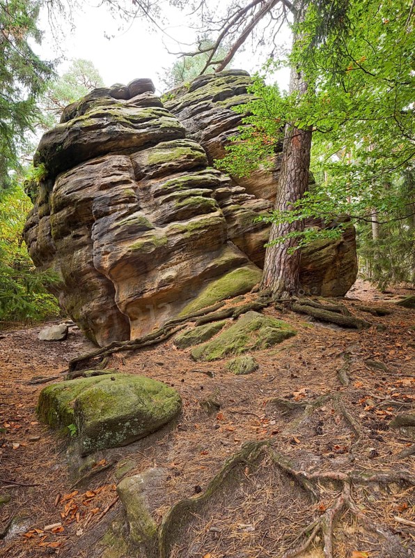 Dippoldiswalder Heide, Einsiedlerstein