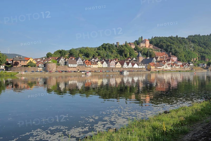 View of townscape with castle, churches and town fortification of Hirschhorn with reflection in Neckar river, Neckar valley, Odenwald, Hesse, Germany, Europe