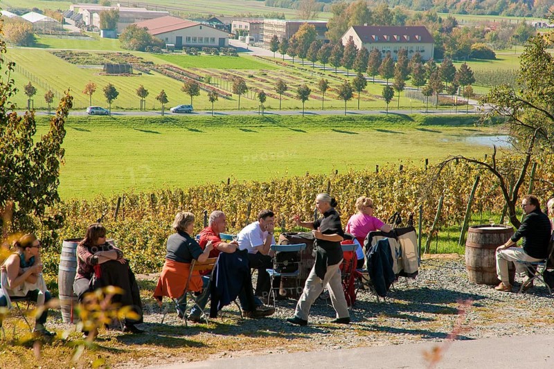 Klaus Zimmerling Winery