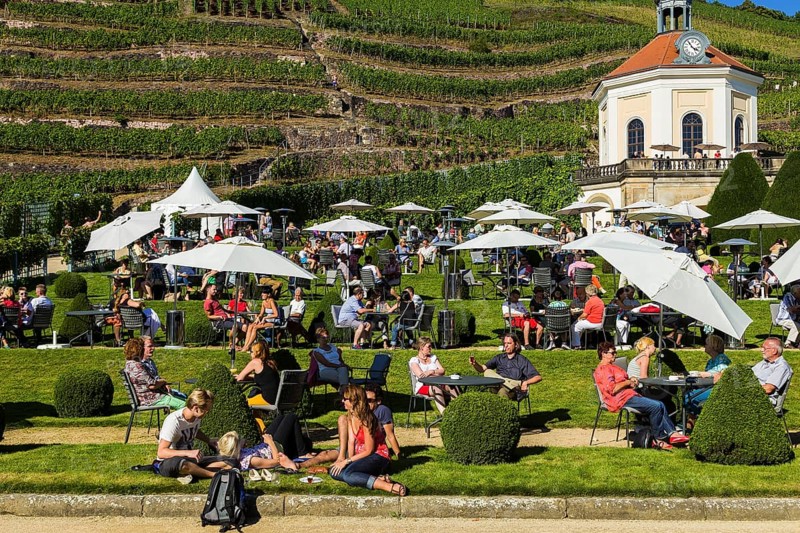 Wackerbarth Castle or Wackerbarths Ruh is a Baroque castle surrounded by vineyards in the Niederlößnitz district of Radebeul on the road to Meißen, which serves as the seat of the Saxon State Winery. The winery belongs to the Lößnitz vineyard and is located in the Radebeuler Johannisberg vineyard