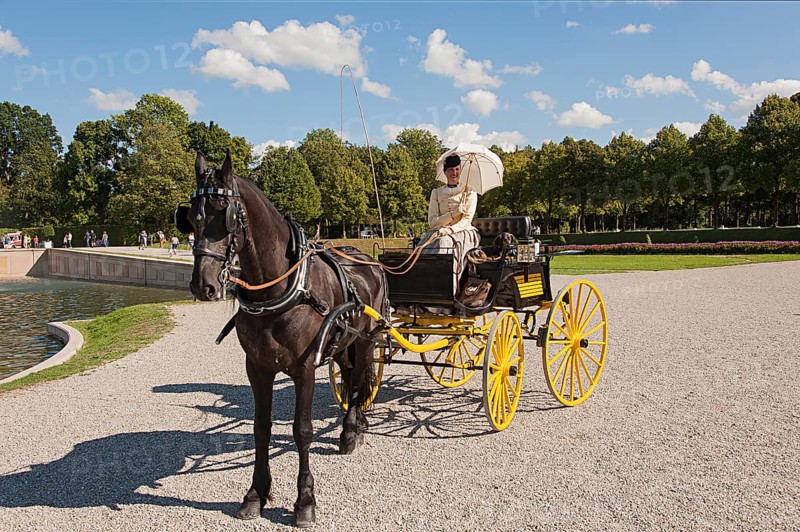 Single carriage with lady, Historic Hunting and Carriage Gala, in the Palace Park, Schleißheim Palace, Upper Bavaria, Bavaria, Germany, Europe