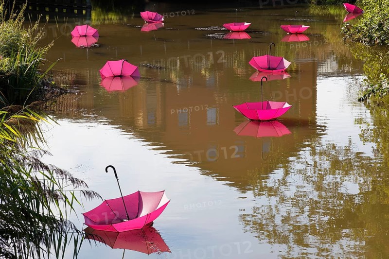 The river Abens decorated with pink umbrellas, Abensberg, Lower Bavaria, Hallertau, also Holledau or Hollerdau, Bavaria, Germany, Europe