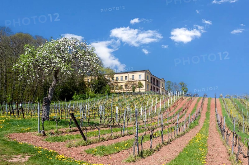 Villa Ludwigshöhe Castle, the former summer residence of the Bavarian King Ludwig I, Edenkoben, Southern Palatinate, Palatinate, Rhineland-Palatinate, Germany, Europe