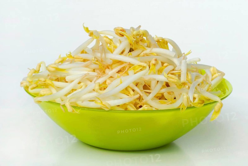 Mung beanstree sprouts in shell (Vigna mungo) (Phaseolus mungo), Mung beans (Phaseolus radiatus) (Vigna radiata) Seedlings