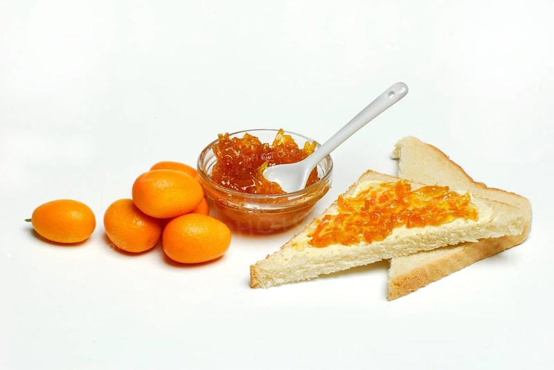 Kumquat-jam (Fortunella) in shell, on toast, -jam, jam, fruit spread