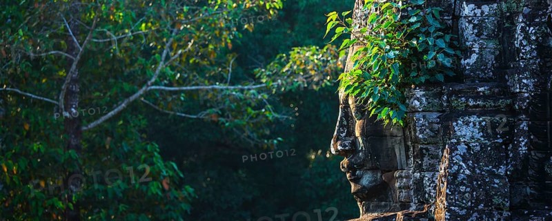 Panorama of ancient stone face of Bayon temple, Angkor, Cambodia with growing plants
