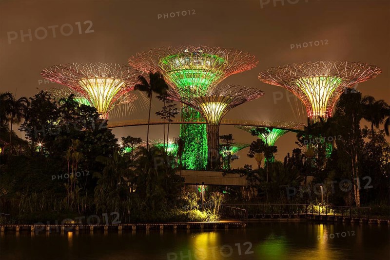 SINGAPORE, DECEMBER 31, 2013: Night view of Supertree Grove at Gardens by the Bay. Futuristic park spans 101 hectares is to become Singapore premier urban outdoor recreation space and national icon