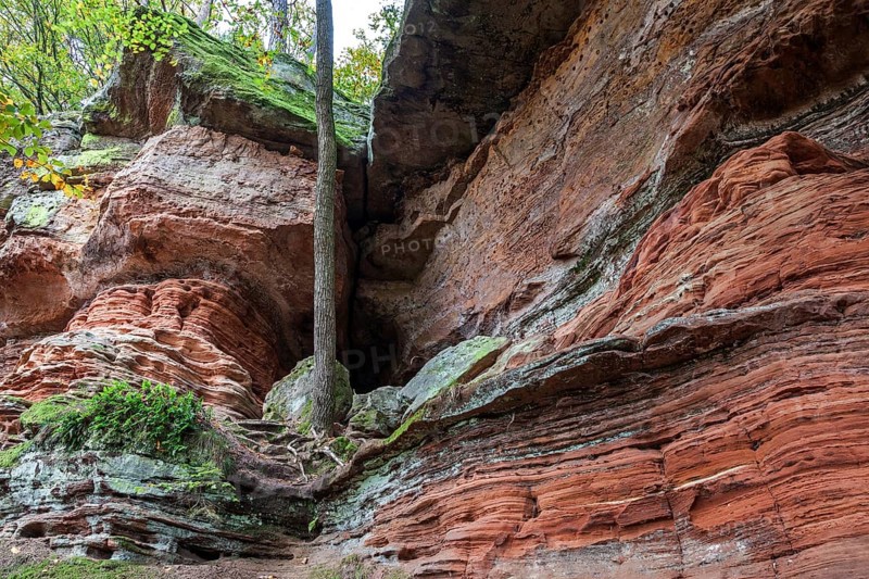 Old castle rock, red sandstone rock formation, natural and cultural monument, Brechenberg near Eppenbrunn, Palatinate Forest, Rhineland-Palatinate, Germany, Europe