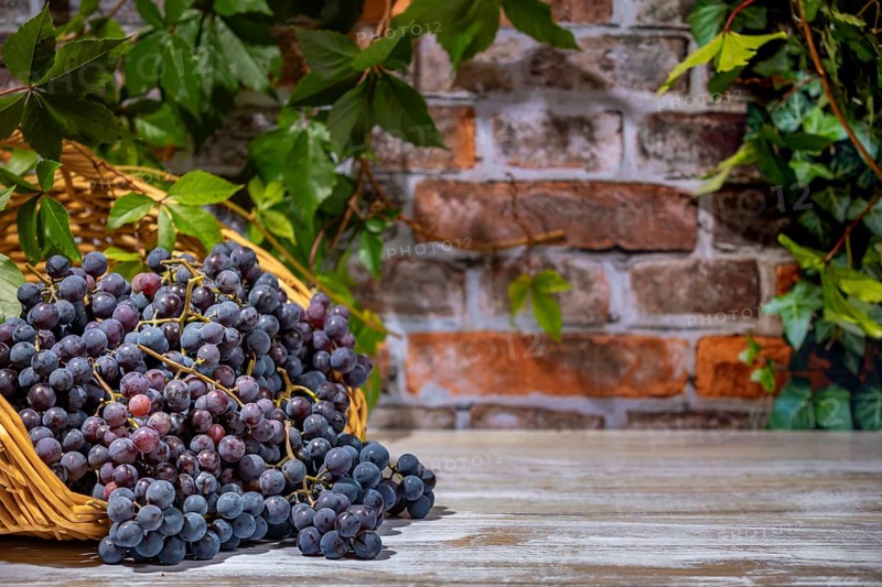 Blue burgundy grapes in and next to basket in front of brick wall with leaves, copying room