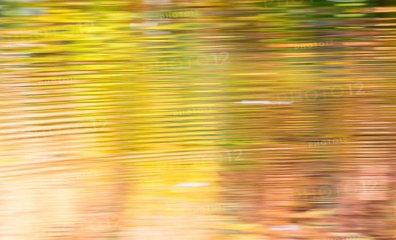 In the water of the Bockelsberg ponds yellow, golden, orange and green colourful autumn leaves are reflected, small waves form lines, wipe effect, abstract, Lüneburg, Lower Saxony, Germany, Europe