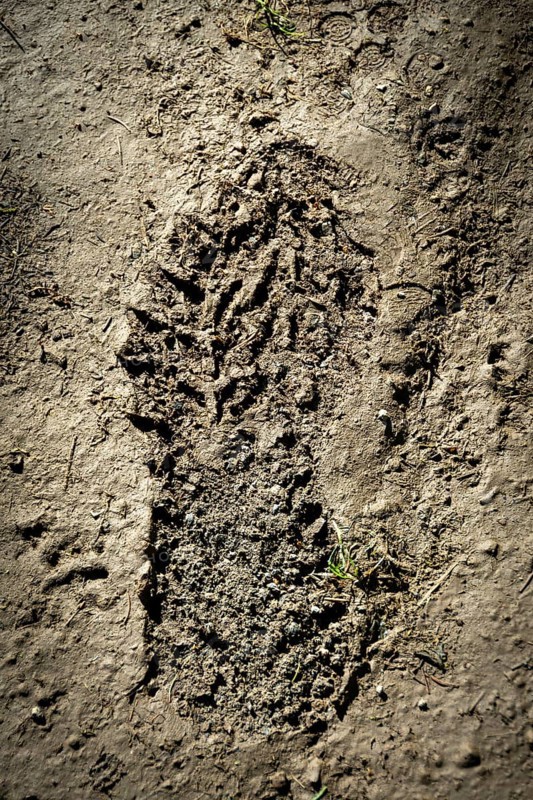 Footprint in the mud. Cezallier plateau. Auvergne. France