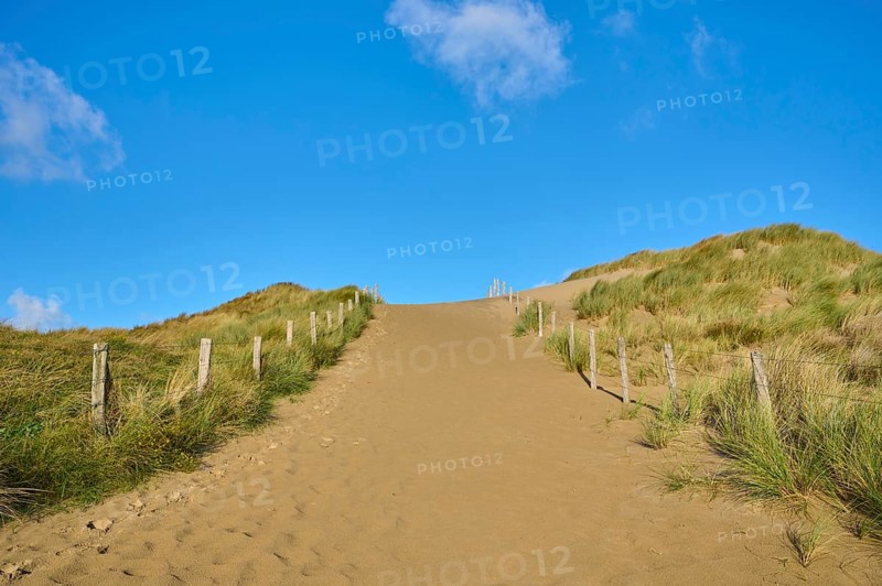 Beach access, sand dune, dune grass, wind, clouds, Zandvoort, North Sea, North Holland, Netherlands